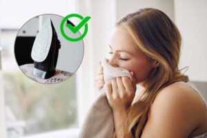 Donna che annusa un capo profumato e cornice rotonda con ferro da stiro