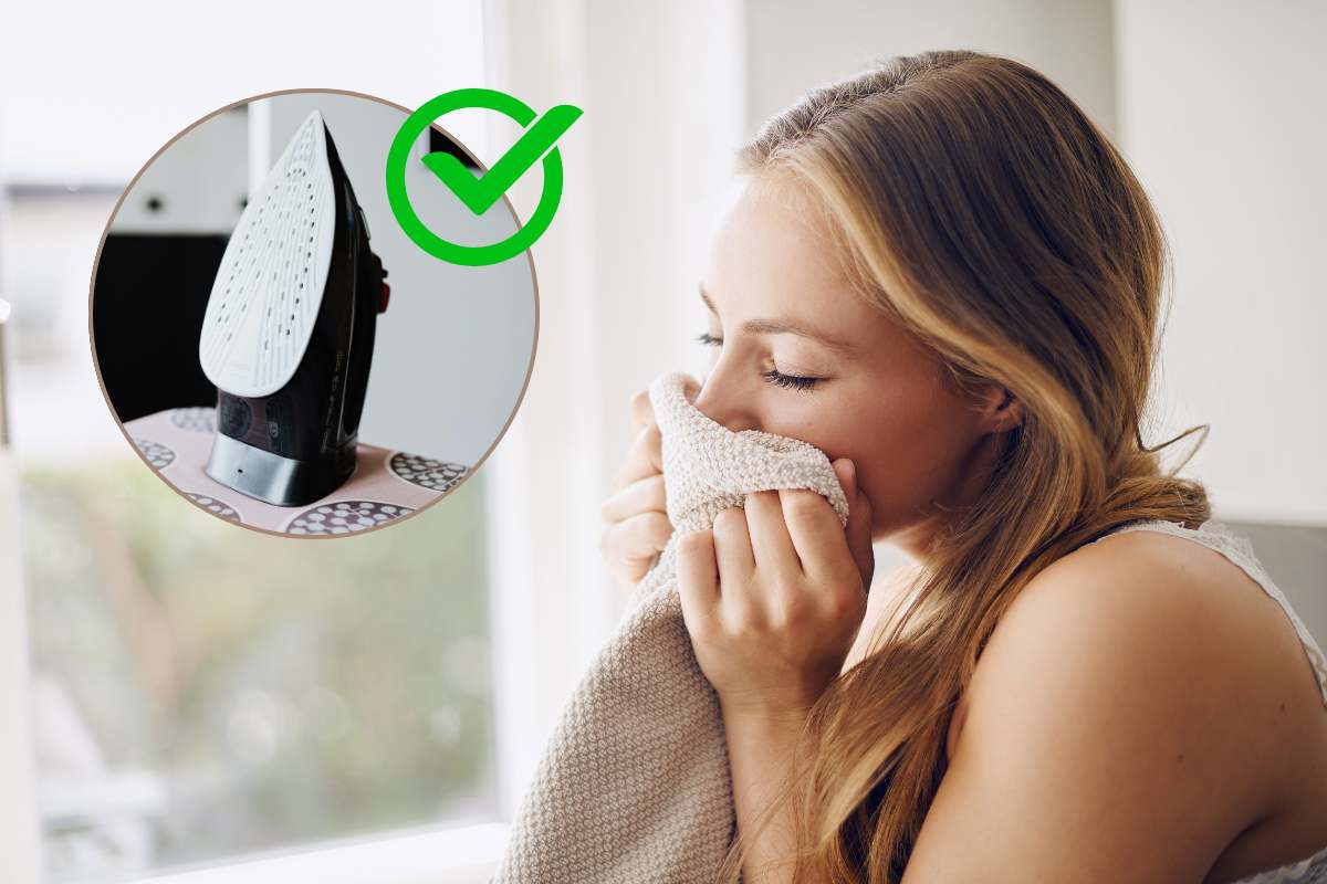 Donna che annusa un capo profumato e cornice rotonda con ferro da stiro